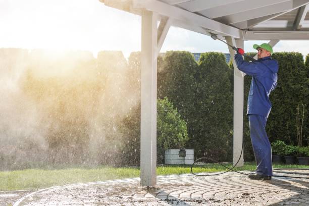 Best Residential Pressure Washing in Mount Olive, AL